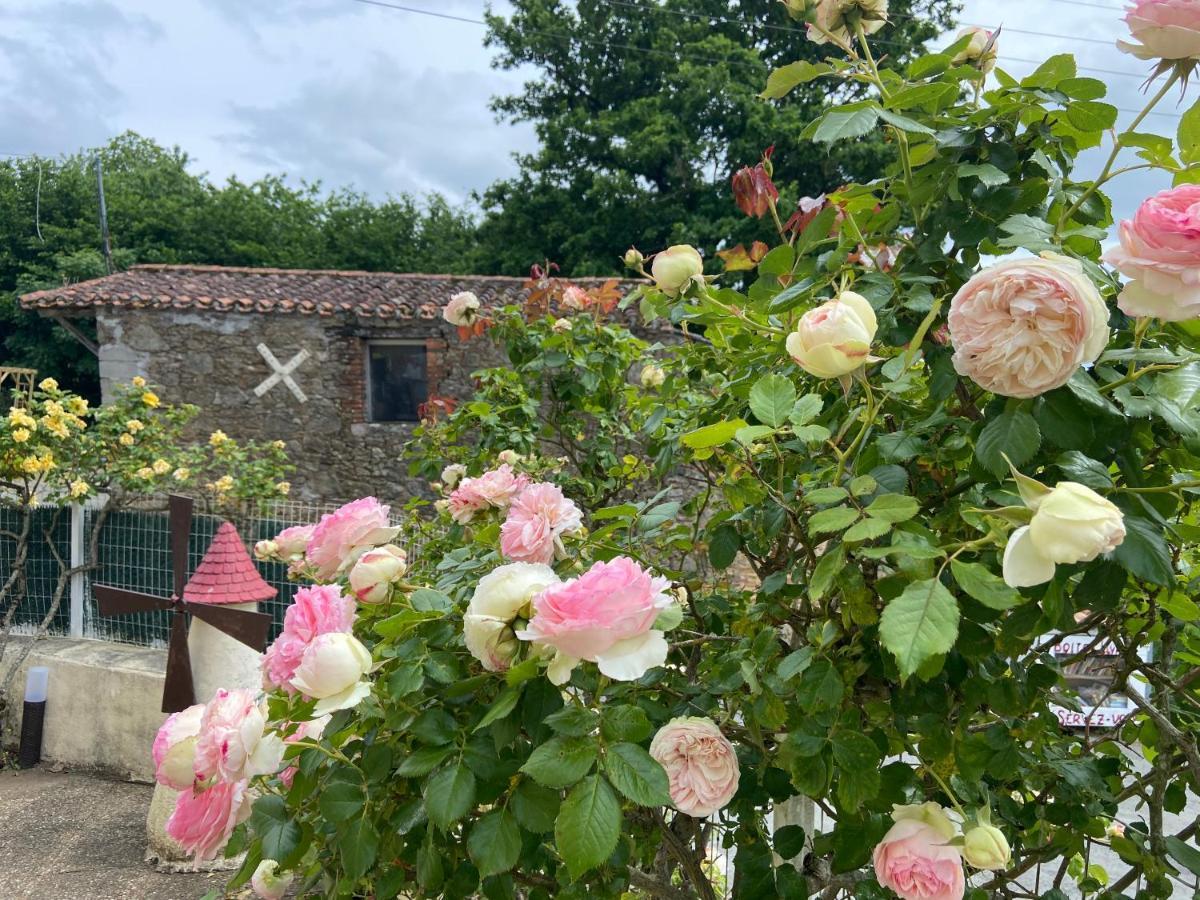 Le Petit Moulin Hotel Pouzauges Buitenkant foto