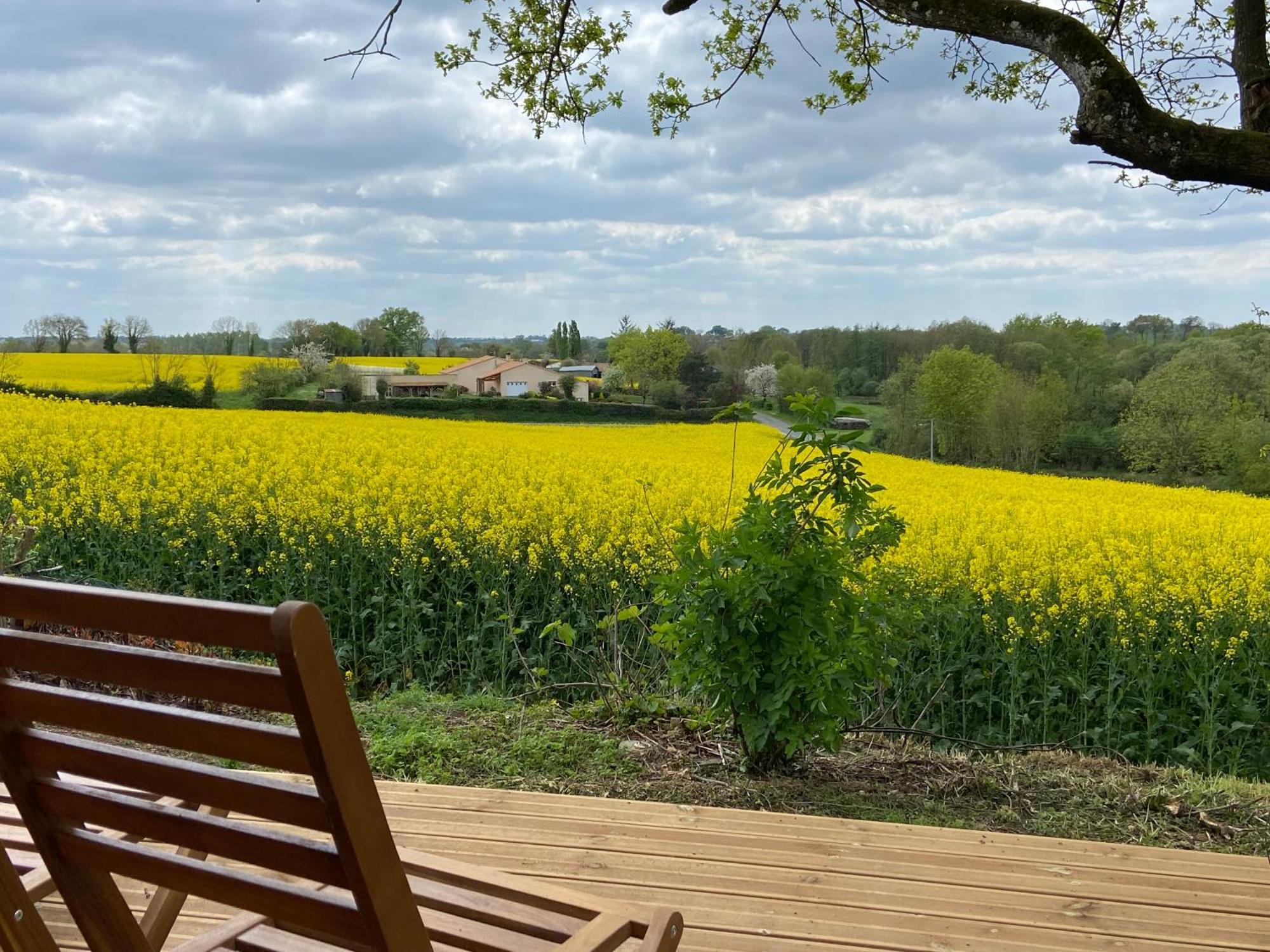 Le Petit Moulin Hotel Pouzauges Buitenkant foto